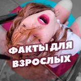 ФАКТЫ ДЛЯ ВЗРОСЛЫХ 18+