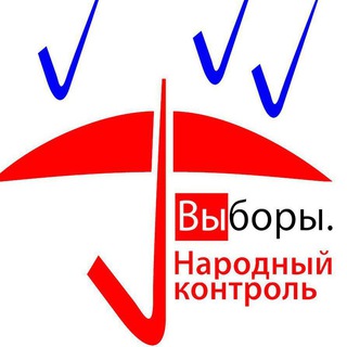ВНК - ВЫБОРЫ. НАРОДНЫЙ КОНТРОЛЬ