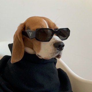 ДУХОВНЫЙ БЕЗУМЕЦ | МОТИВАЦИЯ