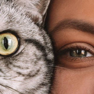 БОЖЕ, ХРАНИ ШУМИЛОВУ