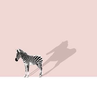 AB ДАК_AYDAN ТОЛЬКО РУЛОНАМИ. НА ОТРЕЗ СМОТРИТЕ В ЧАТЕ НАЛИЧИЕ