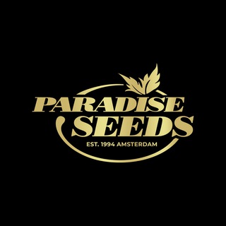 СКИДКИ И АКЦИИ