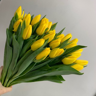 ГОРЗЕЛЕНХОЗ. ЦВЕТЫ ИРКУТСК CHAT