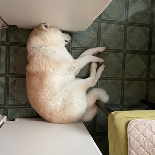 ЧЕЛОВЕК: ИНСТРУКЦИЯ ПО ПРИМЕНЕНИЮ