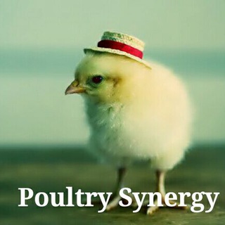 POULTRY SYNERGY GROUP