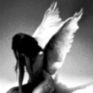 ЗАМЕТКИ ТОРИ