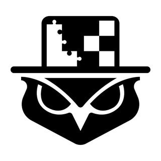 ДВ-ИНТЕЛЛЕКТ ШАХМАТЫ