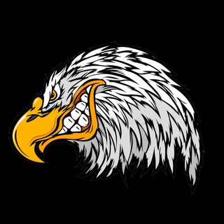 БЕССОВЕСТНЫЙ ДАГЕСТАН