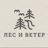 ЛЕС И ВЕТЕР  