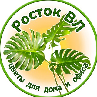 РОСТОКВЛ  РАСТЕНИЯ ВЛАДИВОСТОК