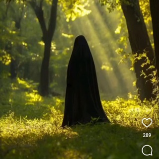 ﷽•О МУСУЛЬМАНКА•﷽