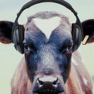 ЖИВОТНОВОДСТВО, ПТИЦЕВОДСТВО И СЕЛЬСКОЕ ХОЗЯЙСТВО