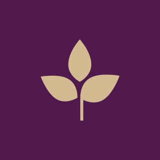 ТАЙРАЙ — ТАЙСКИЙ СПА