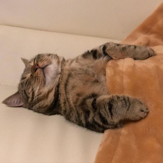 ЗАПОМНЮ, ЧТОБЫ ЗАБЫТЬ | САМОРАЗВИТИЕ