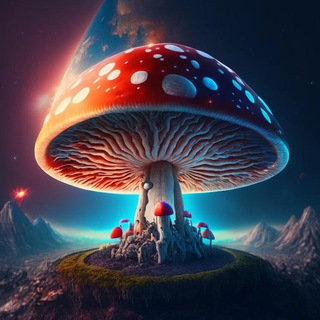 ГРИБНОЙ СБОР