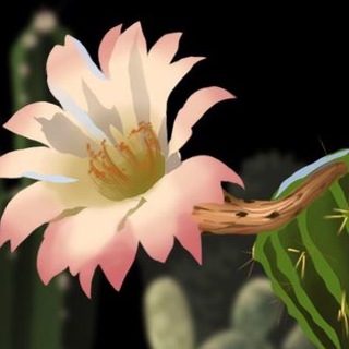 МАРИЭЛЬСКАЯ VПАДИНА