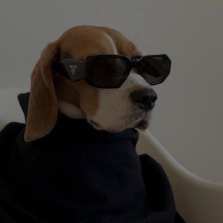 БЛОГ СТИЛИСТА