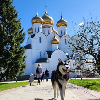 ХАСКИ КИПР | HUSKY TRIP