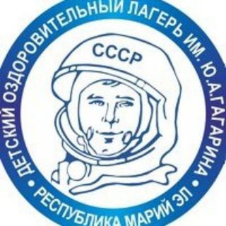 ДОЛ ИМ. Ю.А. ГАГАРИНА