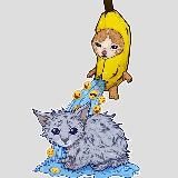 HOWTOWASHACAT