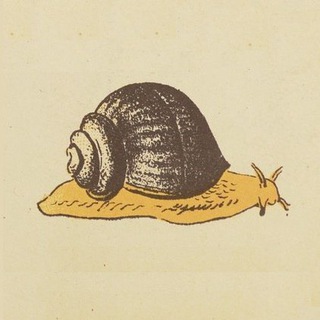 ЛИСТАЯ СТАРЫЕ ЖУРНАЛЫ