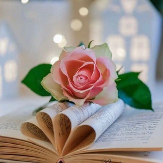 ЗАМЕТКИ ДЛЯ ДУШИ