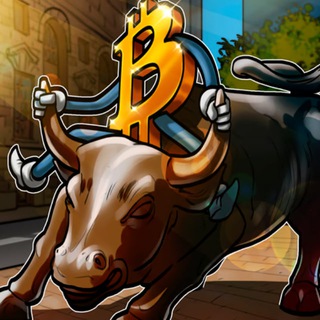 CRYPTO BULLS 