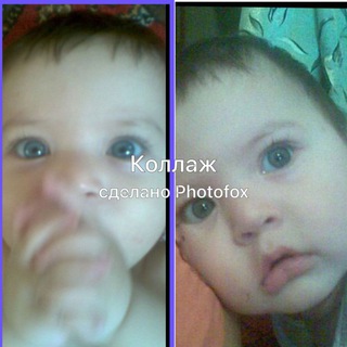 БЕПУШТЛИККА ДАВО ТОПИБ