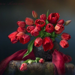 ТВОИ ЖИВЫЕ ОТКРЫТКИ