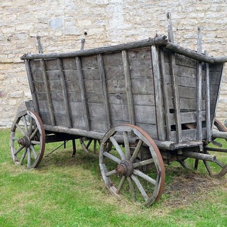 ТЕЛЕГА НОВОСИБИРСКА