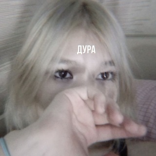 ГИФ/ФОН/МУЗЫКА