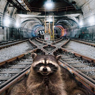 КОВАРНАЯ КОЛЕЯ