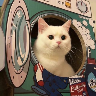 ТЕМЫ И ЯЗЫКИ | ОБОИ ДЛЯ ТЕЛЕГРАММ