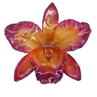 СПАСАТЕЛЬНЫЙ  КРУГ