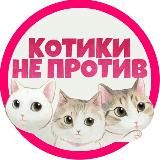 КОТИКИ НЕ ПРОТИВ