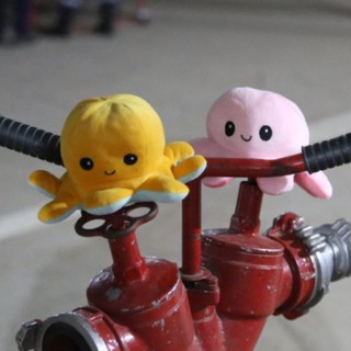 ЗАКУЛИСЬЕ KGIMS