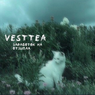 VᴇSᴛᴛᴇᴀ|ꞫᴀᴩᴀБᴏᴛᴏᴋ Нᴀ ᴏᴛꞫЫʙᴀХ 