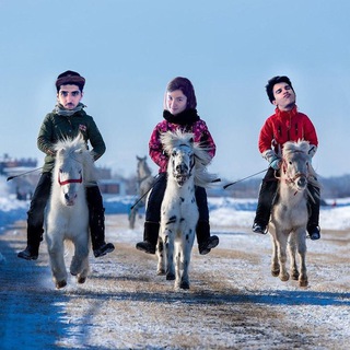 МЕМЫ ТРЁХ ХАЧЕЙ