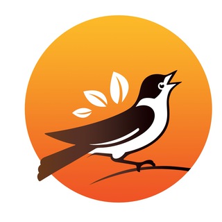 ПТАШКА-ИНФОРМАШКА