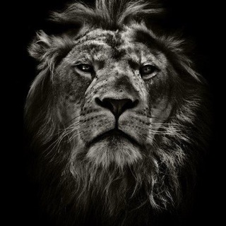 LEMBERG DROP (ДРОПШИППІНГ / ОПТ КРОСІВКИ)