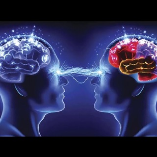 ВИДЕТЬ НАСКВОЗЬ