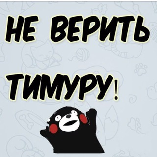 TIMURS CRYPTO