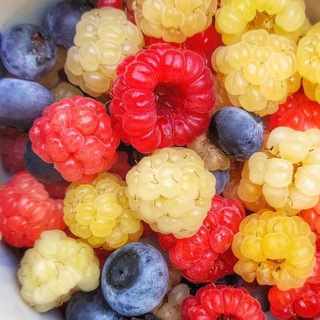 ЗАКАЗЫ ПРОДУКТОВ ГУШ ДАН, ИЗРАИЛЬ