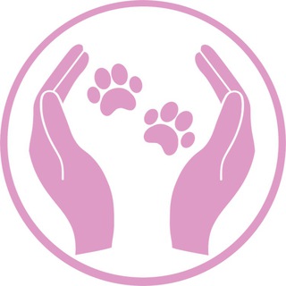 ЛАПЫ В РУКИ