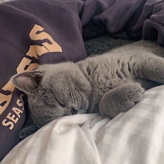 ᴄᴜᴘꞮᴅᴏɴ | ᴛƦᴀᴄᴋ