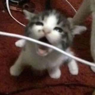 ПРИВЕТ, НАДЕЮСЬ ТУТ ТЕБЕ БУДЕТ УЮТНО.