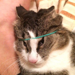 АРХИВ АНЕКДОТОВ И ЮМОРЕСОК