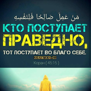 НАСААТ МЕДИА АРТ