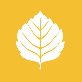 САМАРСКИЙ СОЮЗ МОЛОДЕЖИ