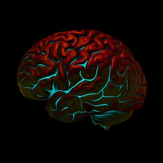 РИТЕЙЛ ГОЛОВНОГО МОЗГА